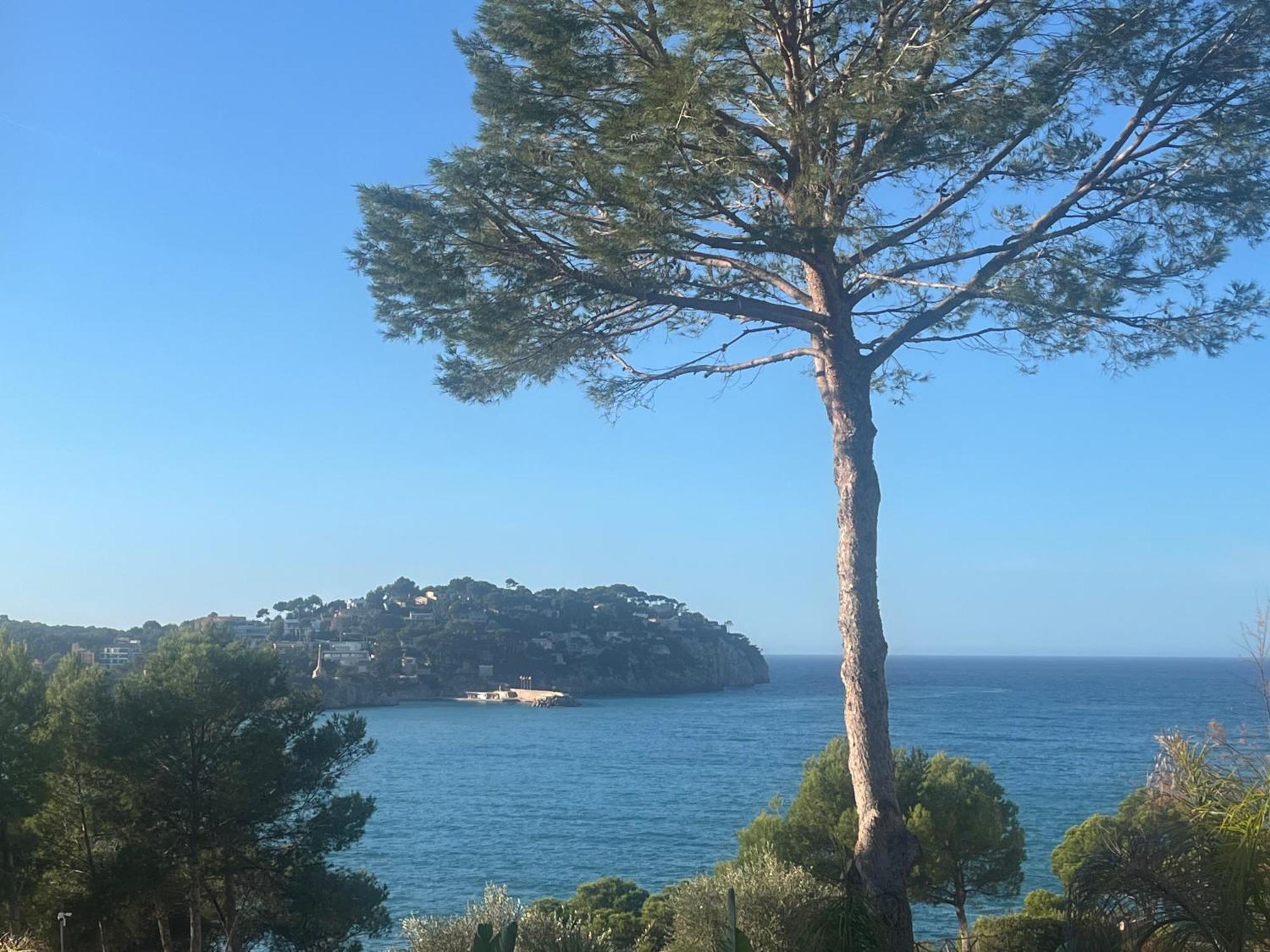 Lejlighed Peace & Nature Costa De La Calma